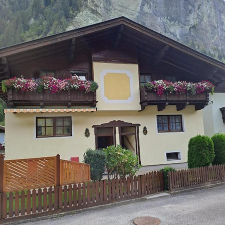 Ferienwohnung Rohrmoser Mit 2 Schlafzimmern Hüttschlag Екстериор снимка